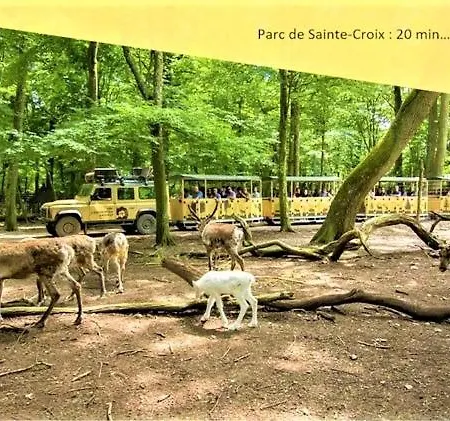 Tarif Special Aout- Le Halles - Croisee Des Parcs - A 20 Min De Center Parc Et Parc Animalier De Sainte-croix ساريبورج